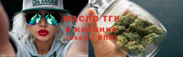 сатива Новодвинск