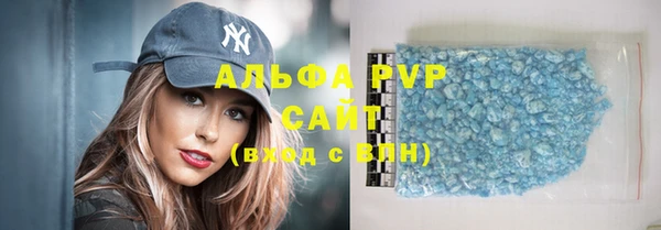 сатива Новодвинск