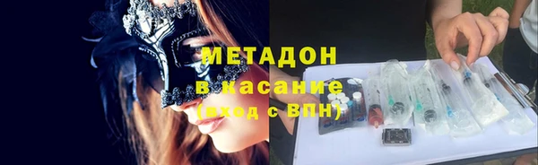 сатива Новодвинск