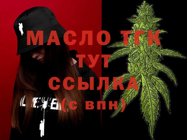 сатива Новодвинск