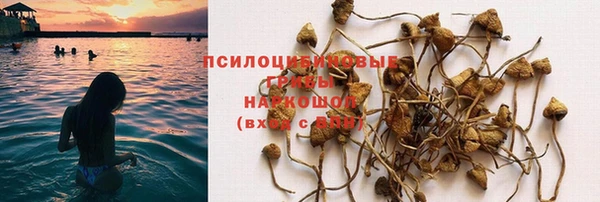 кокс Новокубанск