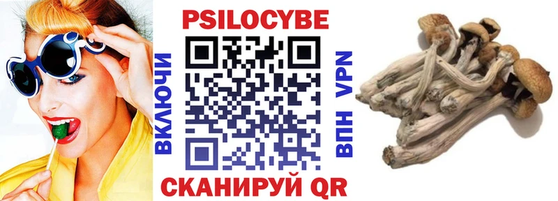 Псилоцибиновые грибы GOLDEN TEACHER  Ряжск 